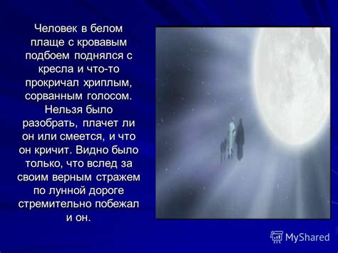 Таинственный сон: знакомство с бесстрашным стражем и его верным спутником