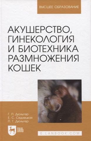 Тайная процедура размножения кошек: загадочный сон, в котором появляются 5 маленьких усатых существ