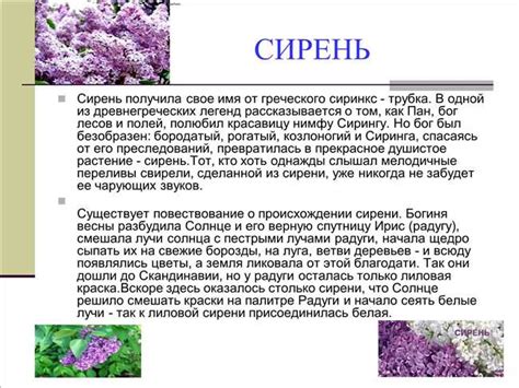 Тайна недошедших приветов: загадки предвещаний и символика