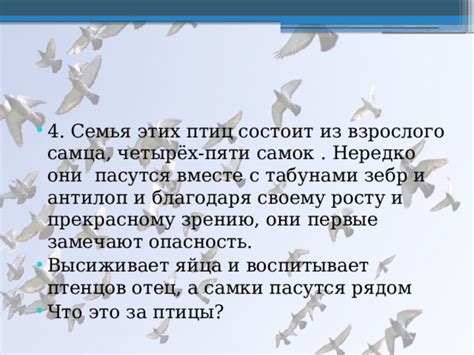 Тайна перемены: от птицы к прекрасному мужчине