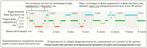 Тайна сновидений: криптография грибных образов в области подсознательного