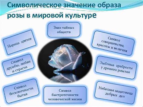 Тайное значение мертвой розы в культуре и искусстве