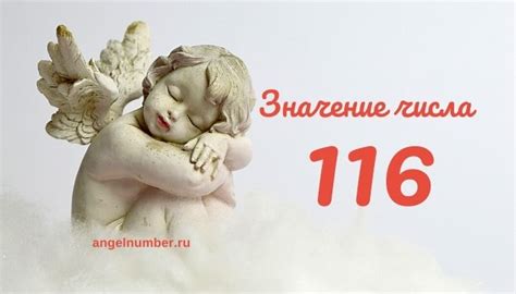 Тайное значение числа 116