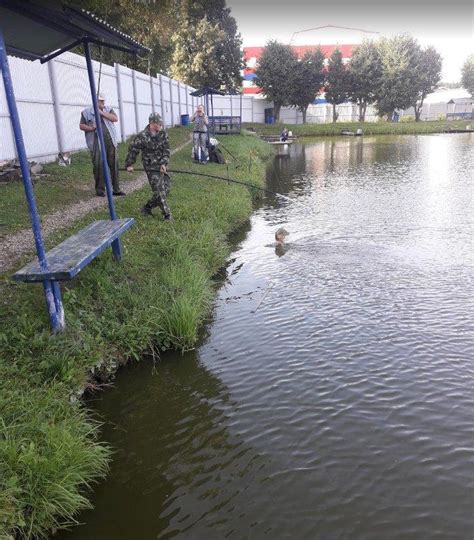 Тайные отражения рыбалки в небольшой водоем