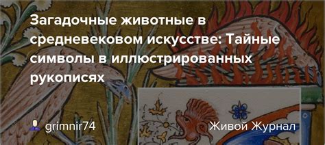 Тайные послания сновидения: загадочные символы лягушки в доме