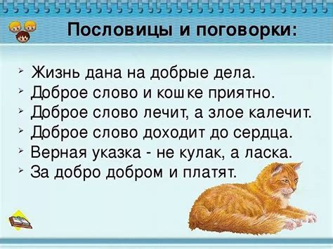 Тайный смысл, который скрывается за словом "котенок"