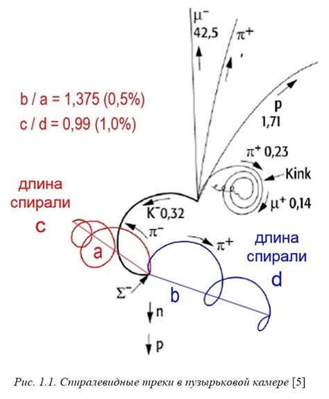 Тайны и смысл часовой стрелки