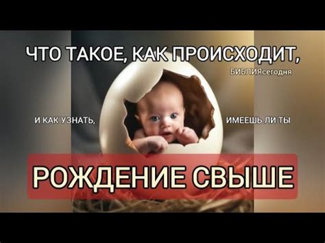 Тайны рождения свыше: что скрывается за этим явлением