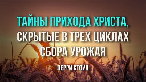 Тайны сна: загадки сбора свежего урожая