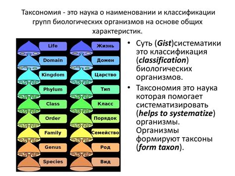 Таксономия и систематика