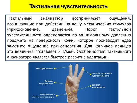 Тактильный сигнал: роль в социальной коммуникации