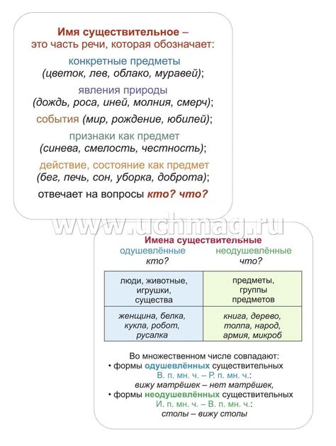 Тамада склонение - главные правила