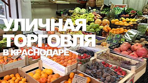 Текущие фрукты первого полугодия в Краснодаре