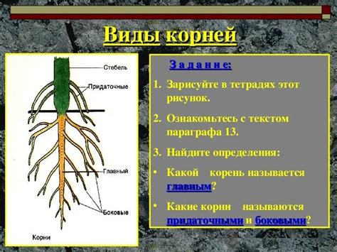 Теле-: значение корня в технической сфере