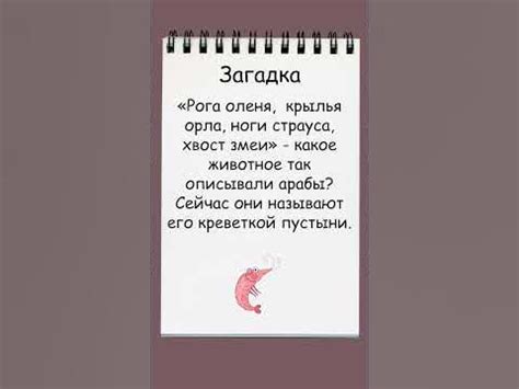 Тема 1: Разгадка символики сна о морском креветке для семейной женщины