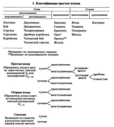 Тема 1.2. Порченые плоды: предупреждение о возможных неприятностях