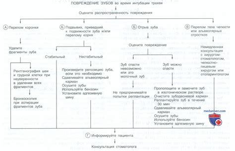 Тема 2: Современные интерпретации снов о повреждении резной структуры зубов