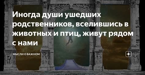 Тема 3: Причина появления ушедших родственников в сновидениях