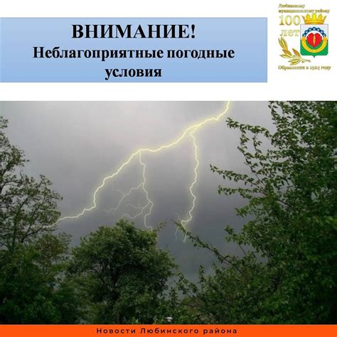 Тема 4: Лягушка как предупреждение о неблагоприятных событиях