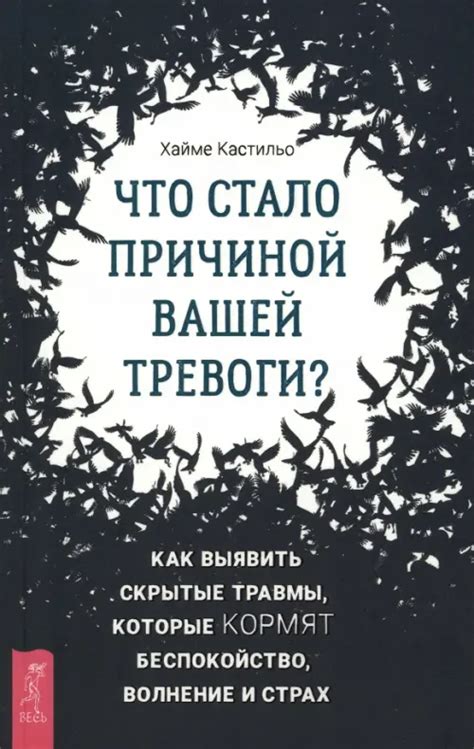 Темное отражение: скрытые тревоги, скрытые тайны и неизведанные аспекты индивидуальности