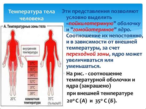 Температура тела 34 утром у взрослого: заболевания как причины