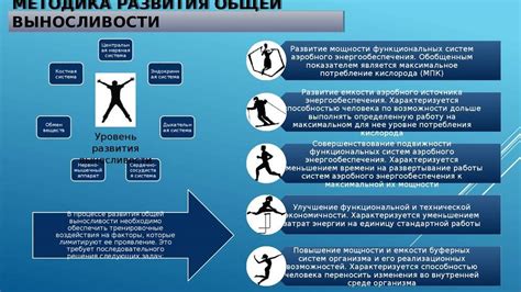 Теневыносливый: основные принципы выносливости в тени