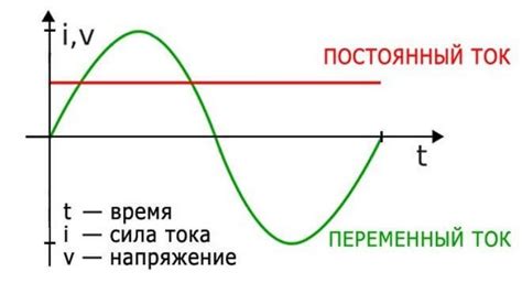 Терминальная фаза: определение и особенности