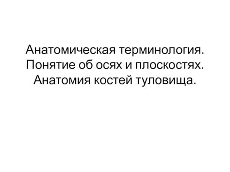 Терминология и понятие