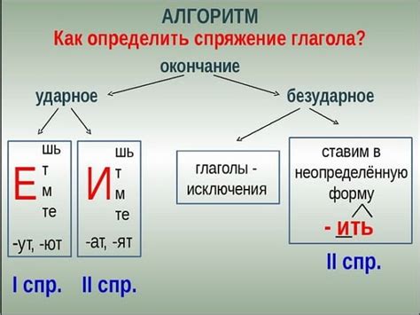 Терминология спряжения глагола: что это такое?