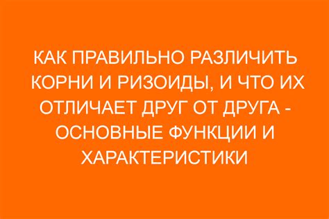 Термин 1: Разводить танец - прочные корни и ключевые отличия