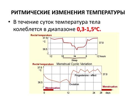 Терморегуляция и обмен тепла