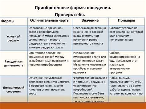 Терпила как негативное значение: основные черты и примеры поведения