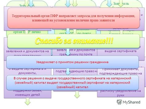 Территориальный орган ПФР: принципы и функции