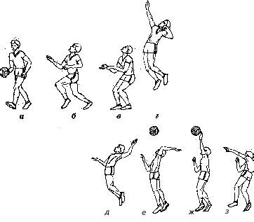 Техника волейбола: с чего начать