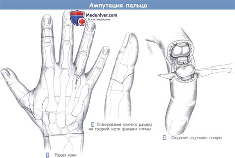 Техника демонстрации пальца