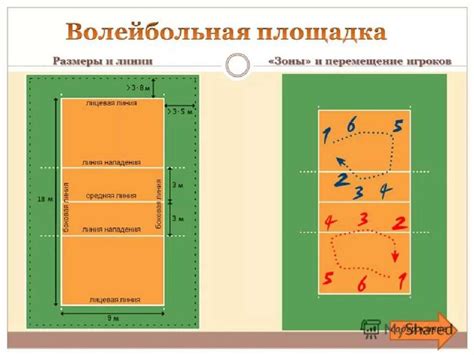 Техника и тактика: как достичь успеха на волейбольной площадке