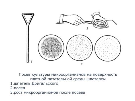 Техника посева на уги