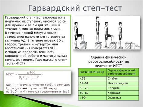 Техника проведения и результаты