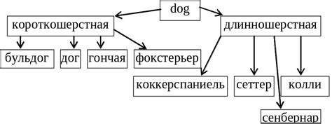 Техники поиска, основанные на логике и знании мест