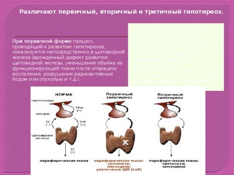 Технические причины отсутствия обнаружения гормона hbe