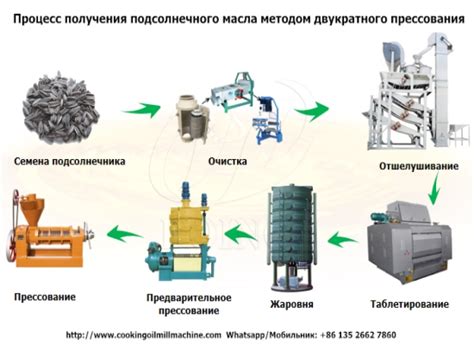 Технология производства семян инкрустированы