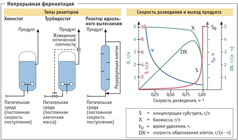 Технология ферментации и доферментации