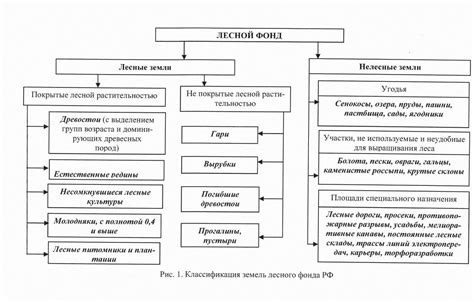 Типичные виды пользования