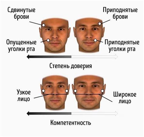 Типичные черты альфа самца: физическая сила, уверенность, лидерство