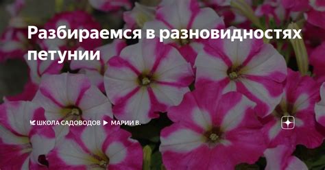 Типы выгрузки: разбираемся в разновидностях