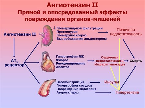 Типы гипотензивных средств