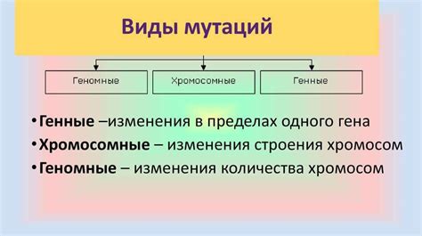 Типы мутаций генов