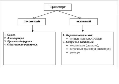 Типы переноса вещества