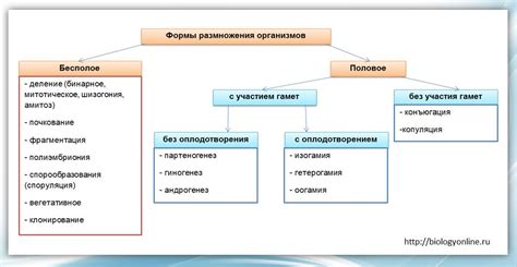 Типы размножения и их условия