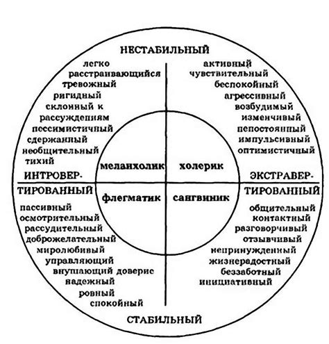 Типы темперамента и их особенности